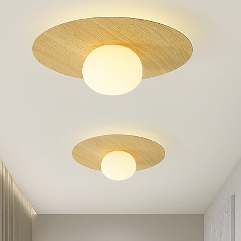 Contemporary Scandinavian Metal PE Round Ball LED Flush Mount Ceiling Light For Hallway