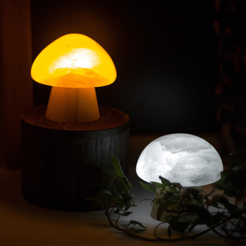 Nordic Creative Mushroom Ore Wood Base LED USB Table Lamp