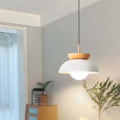 Modern Minimalist Round Iron 1-Light Pendant Light For Living Room