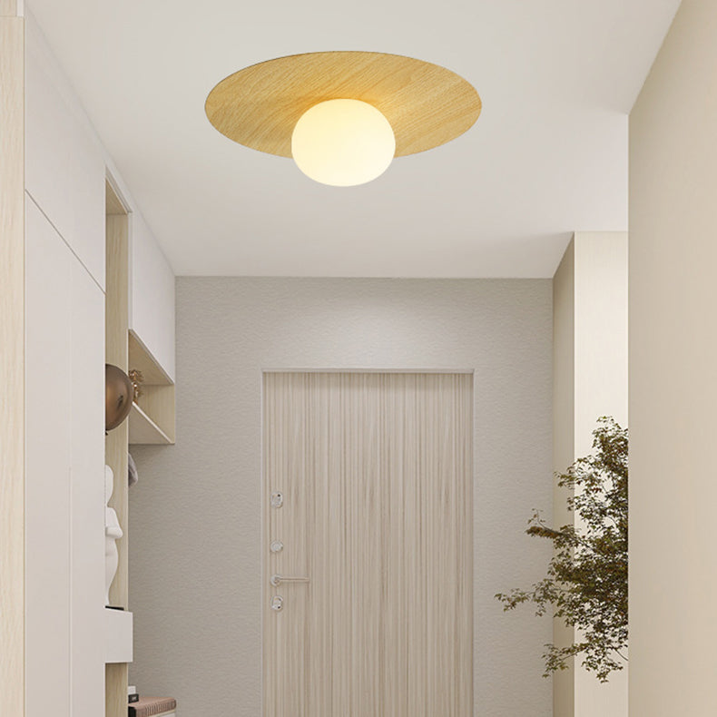 Contemporary Scandinavian Metal PE Round Ball LED Flush Mount Ceiling Light For Hallway