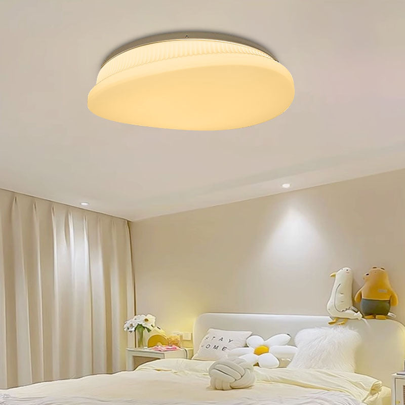 Contemporary Simplicity Acrylic Round Shade Iron LED Flush Mount Ceiling Light For Living Room