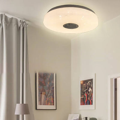 Modern Minimalist Round White APP Smart Control Bluetooth LED Flush Mount Light