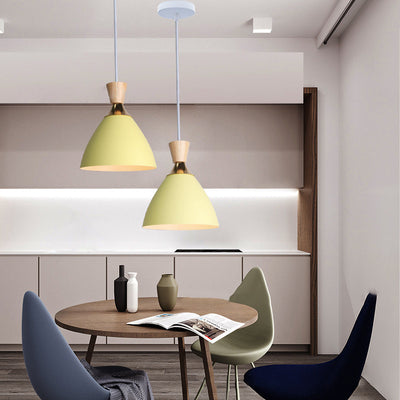 Modern Minimalist Cone Iron 1-Light Pendant Light For Living Room