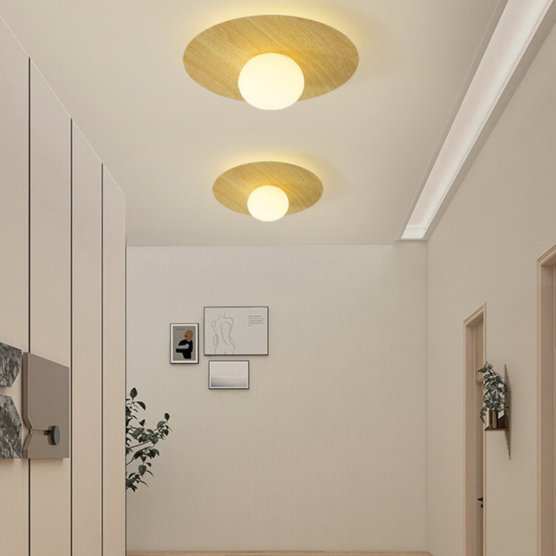 Contemporary Scandinavian Metal PE Round Ball LED Flush Mount Ceiling Light For Hallway