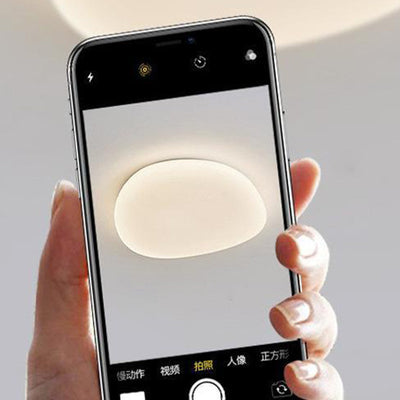 Modern Minimalist Pebble Shape Acrylic Hardware LED Flush Mount Ceiling Light For Bedroom