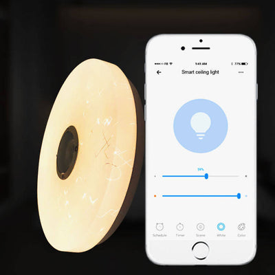 Modern Minimalist Round White APP Smart Control Bluetooth LED Flush Mount Light