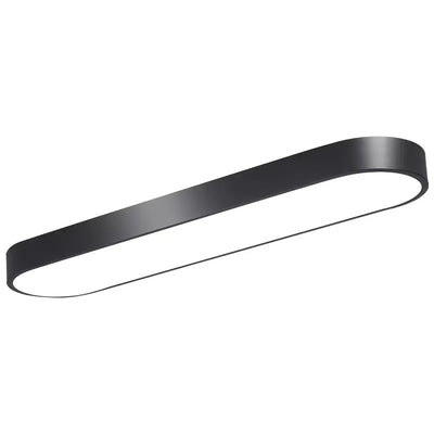 Modern Minimalist Elliptical Strip Iron Acrylic LED Flush Mount Ceiling Light For Hallway