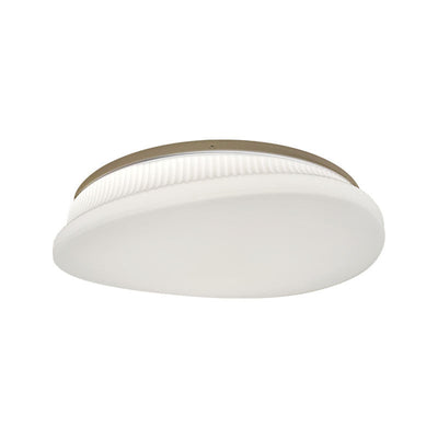 Contemporary Simplicity Acrylic Round Shade Iron LED Flush Mount Ceiling Light For Living Room