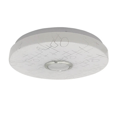 Modern Minimalist Round White APP Smart Control Bluetooth LED Flush Mount Light