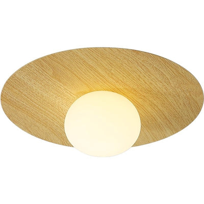 Contemporary Scandinavian Metal PE Round Ball LED Flush Mount Ceiling Light For Hallway