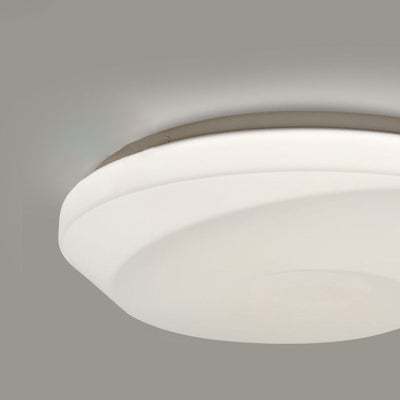 Contemporary Simplicity Acrylic Round Shade Iron LED Flush Mount Ceiling Light For Living Room