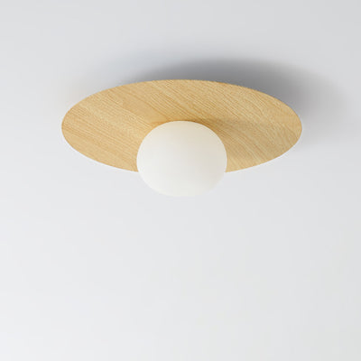 Contemporary Scandinavian Metal PE Round Ball LED Flush Mount Ceiling Light For Hallway