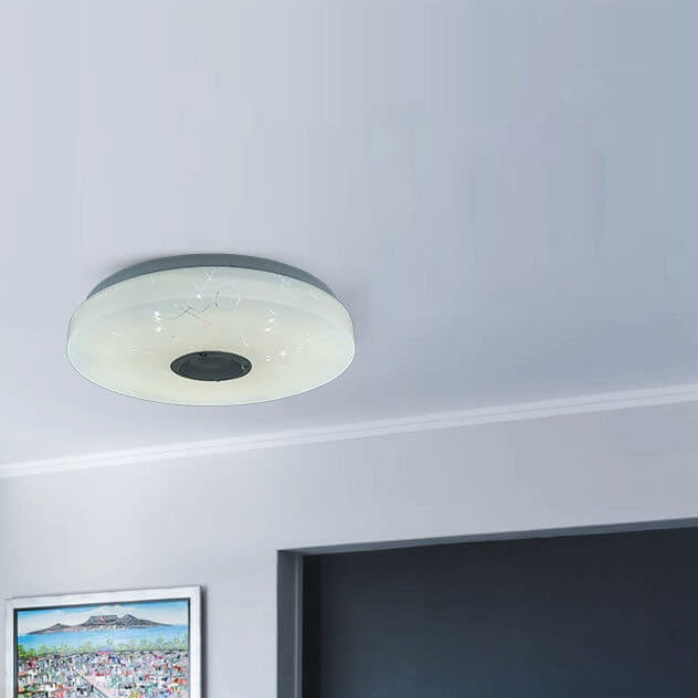 Modern Minimalist Round White APP Smart Control Bluetooth LED Flush Mount Light