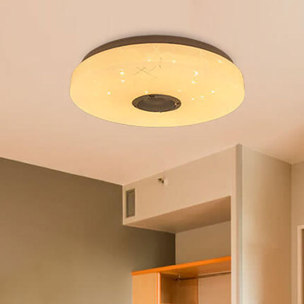 Modern Minimalist Round White APP Smart Control Bluetooth LED Flush Mount Light