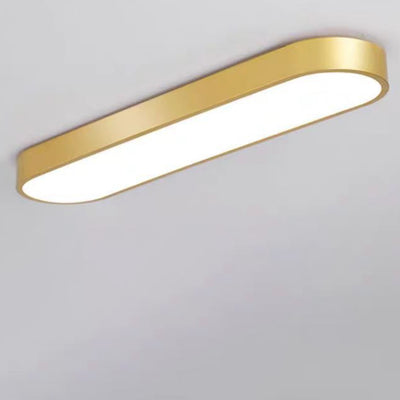 Modern Minimalist Elliptical Strip Iron Acrylic LED Flush Mount Ceiling Light For Hallway