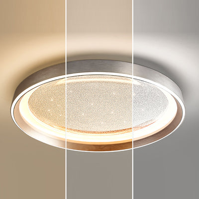 Modern Simplicity Aluminum Acrylic Round Starry Sky LED Flush Mount Ceiling Light For Living Room