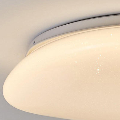 Modern Minimalist Pebble Shape Acrylic Hardware LED Flush Mount Ceiling Light For Bedroom