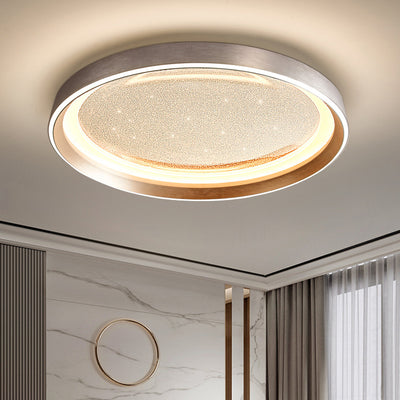 Modern Simplicity Aluminum Acrylic Round Starry Sky LED Flush Mount Ceiling Light For Living Room