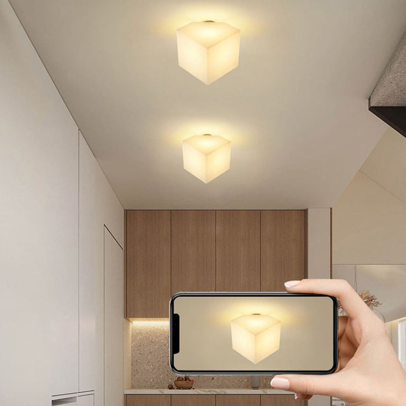 Moderne Einfachheit Runde Quadratische Acryl Eisen LED Semi-Flush Mount Deckenleuchte für Flure 