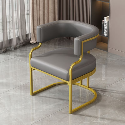 Simplicité Moderne Cuir Métal Éponge Latex Ovale Chaise d'Accent Courbée Dossier Accoudoir Pour Salon 