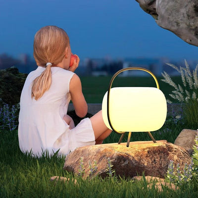 Modern Minimalist Solar Waterproof Portable Oval PE Shade Iron LED Outdoor Light For Garden