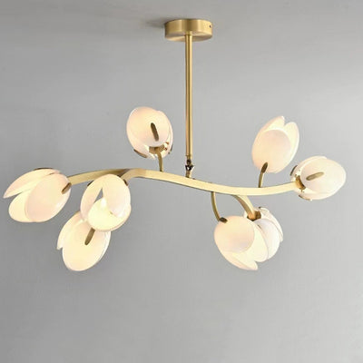 Modern Minimalist Branch Pod Brass Frame Glass Shade 3/5/8 Light Chandelier For Living Room