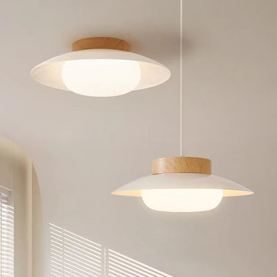 Modern Minimalist Round Oval Iron Acrylic LED Pendant Light For Living Room