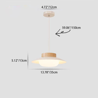 Modern Minimalist Round Oval Iron Acrylic LED Pendant Light For Living Room