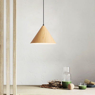 Contemporary Nordic Cone Iron 1-Light Pendant Light For Living Room