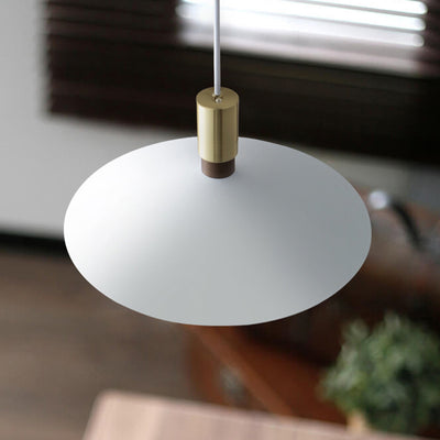 Contemporary Nordic Cone Iron 1-Light Pendant Light For Living Room