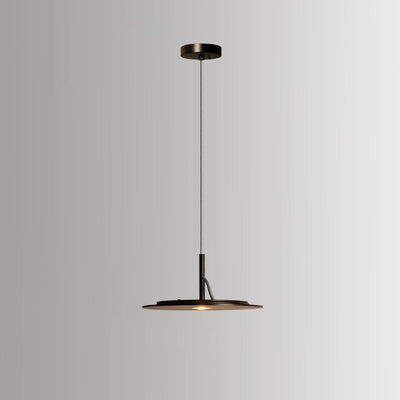 Modern Minimalist Round Iron LED Pendant Light For Living Room