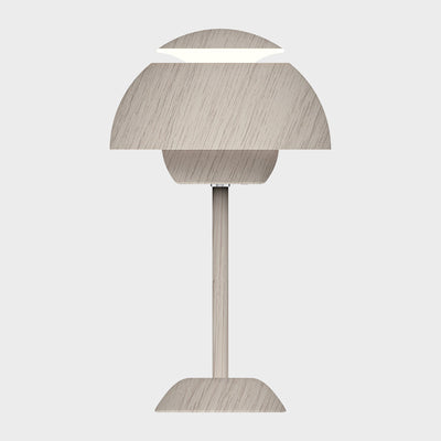 Contemporary Nordic Mushroom Iron USB LED Table Lamp For Living Room