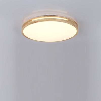 Modern Minimalist Round Wood Iron PE LED Flush Mount Ceiling Light For Living Room