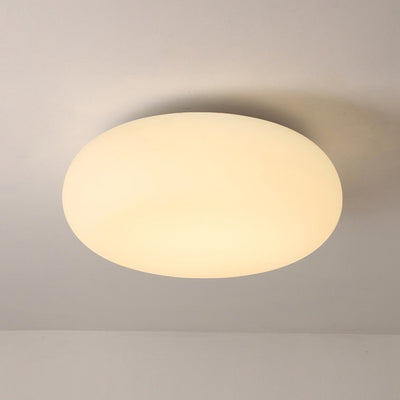 Contemporary Scandinavian Oval Apple Iron Acrylic LED Flush Mount Ceiling Light For Bedroom