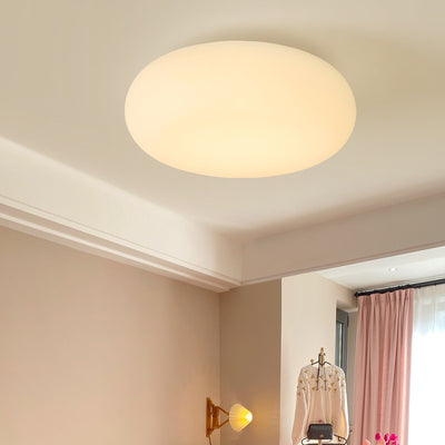 Contemporary Scandinavian Oval Apple Iron Acrylic LED Flush Mount Ceiling Light For Bedroom