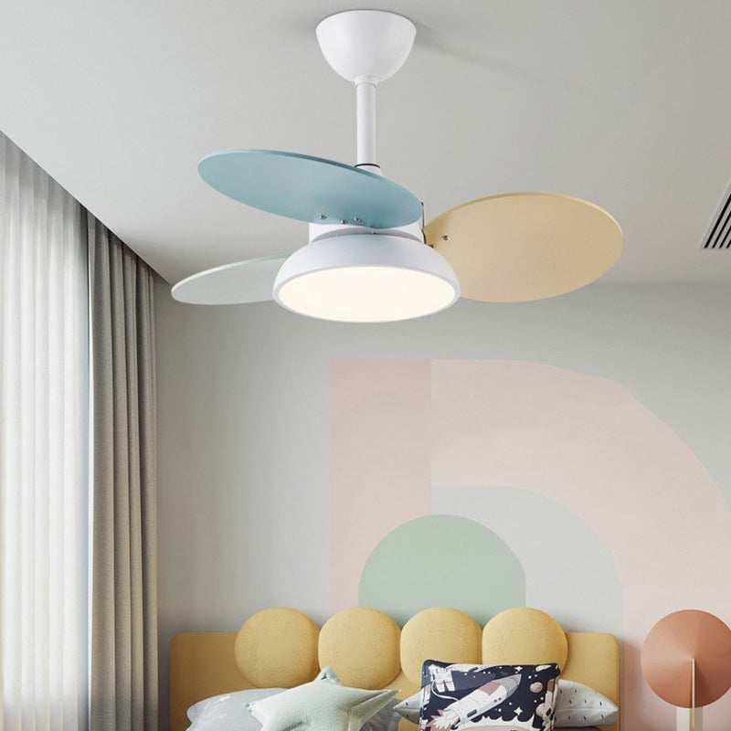 Zeitgenössische skandinavische Acrylschirm Massivholz Oval Fan Blade LED Downrod Deckenventilator Licht für Wohnzimmer 