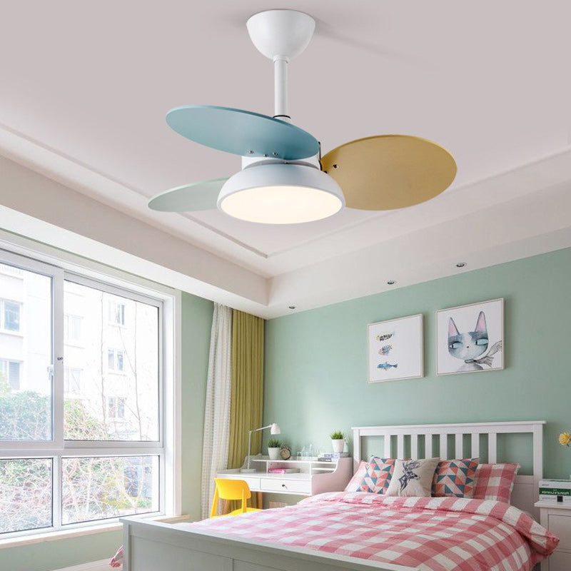 Zeitgenössische skandinavische Acrylschirm Massivholz Oval Fan Blade LED Downrod Deckenventilator Licht für Wohnzimmer 