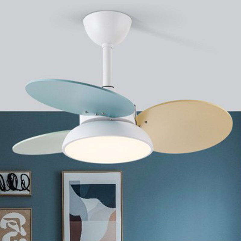 Zeitgenössische skandinavische Acrylschirm Massivholz Oval Fan Blade LED Downrod Deckenventilator Licht für Wohnzimmer 