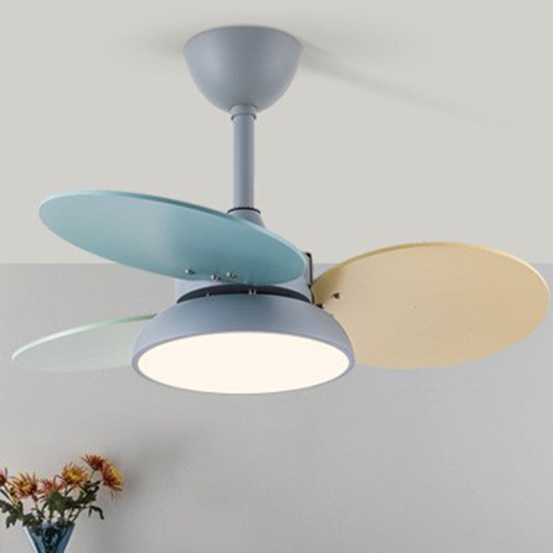 Zeitgenössische skandinavische Acrylschirm Massivholz Oval Fan Blade LED Downrod Deckenventilator Licht für Wohnzimmer 