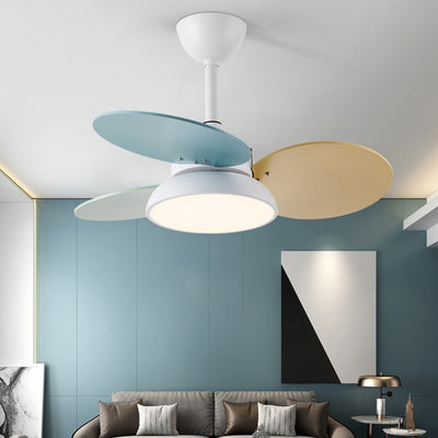 Zeitgenössische skandinavische Acrylschirm Massivholz Oval Fan Blade LED Downrod Deckenventilator Licht für Wohnzimmer 