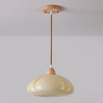 Contemporary Scandinavian Persimmon Round Cone Oak Glass 1-Light Pendant Light For Bedroom