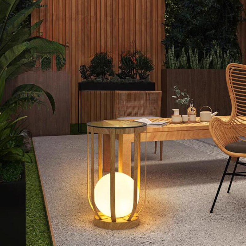 Modern Minimalist Round Skeleton Globe Waterproof PE Iron 1-Light Lawn Landscape Light For Garden