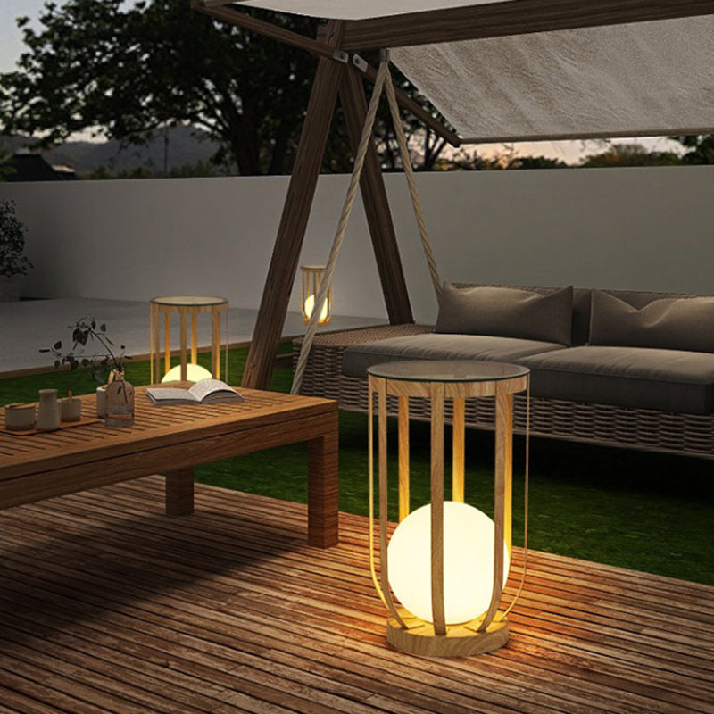 Modern Minimalist Round Skeleton Globe Waterproof PE Iron 1-Light Lawn Landscape Light For Garden