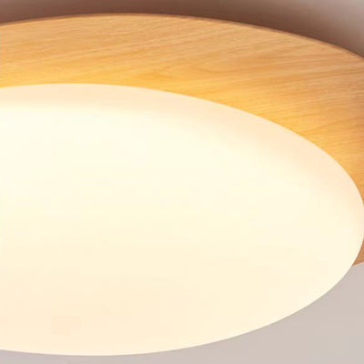 Contemporary Scandinavian Pebble Oval Acrylic Iron LED Flush Mount Ceiling Light For Bedroom