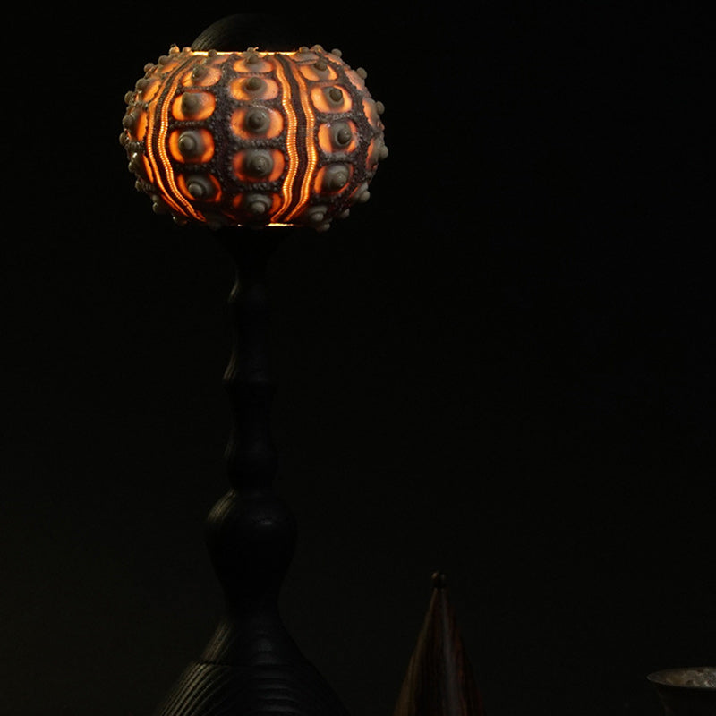 Modern Art Deco Rechargeable Wood Natural Sea Urchin Column Ball LED Table Lamp For Living Room