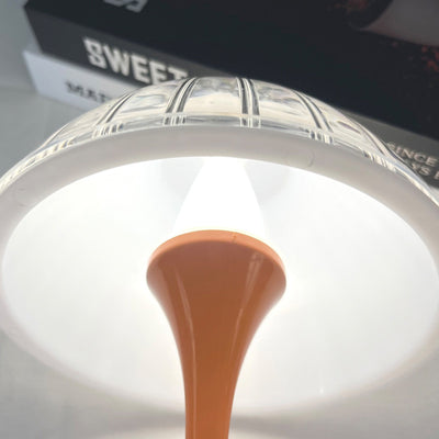 Contemporary Scandinavian Rechargeable Conic Petal ABS Acrylic LED Table Lamp For Bedside