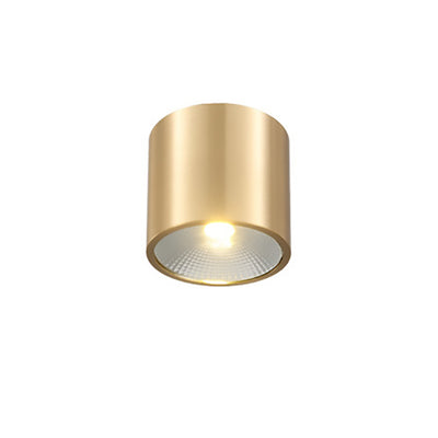 Contemporary Nordic Brass Cylinder Spotlight LED Flush Mount Ceiling Light For Hallway