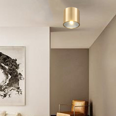 Contemporary Nordic Brass Cylinder Spotlight LED Flush Mount Ceiling Light For Hallway