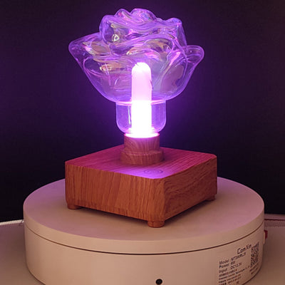 Contemporary Creative USB Rechargeable ABS PET Rose Bulb LED Table Lamp Night Light For Bedroom