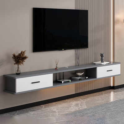 Modern Simplicity Rectangular Plate TV Stand 2-Drawer For Living Room